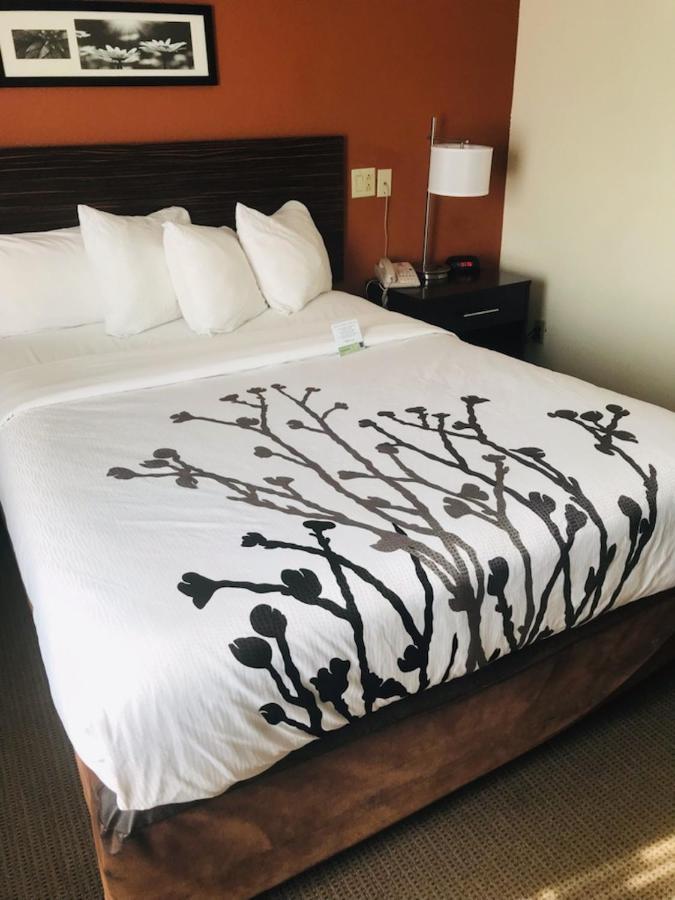 Sleep Inn North Charleston Ashley Phosphate Exteriör bild