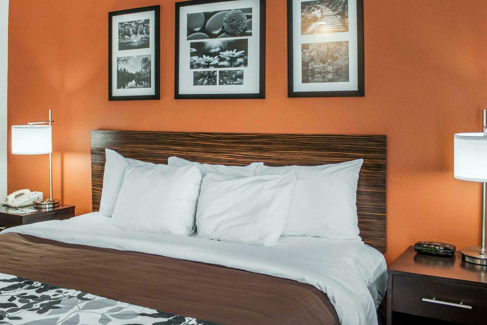 Sleep Inn North Charleston Ashley Phosphate Exteriör bild